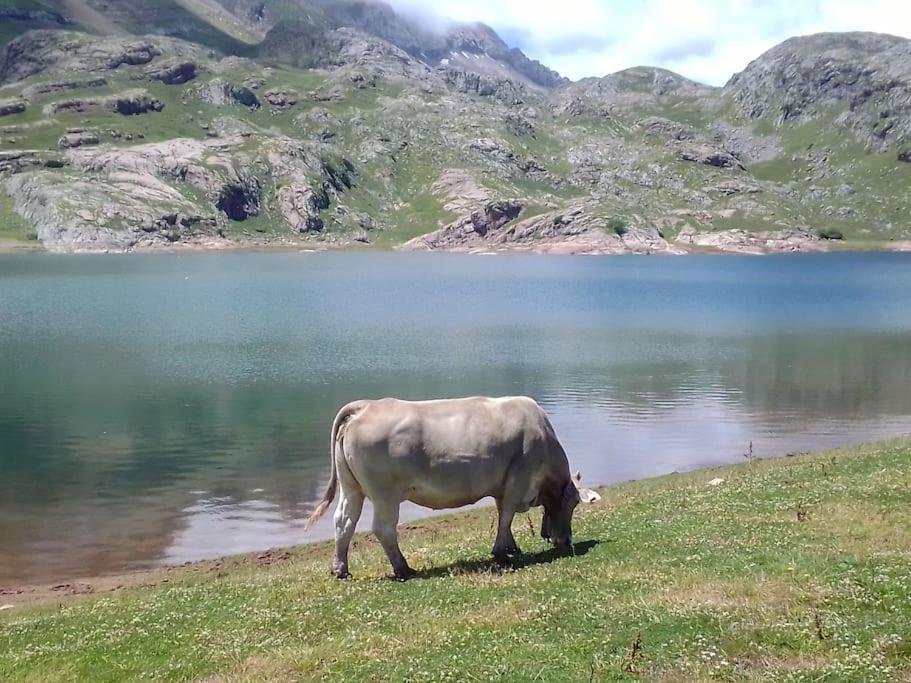 Appartamento Atico La Flor Del Sol Canfranc Esterno foto